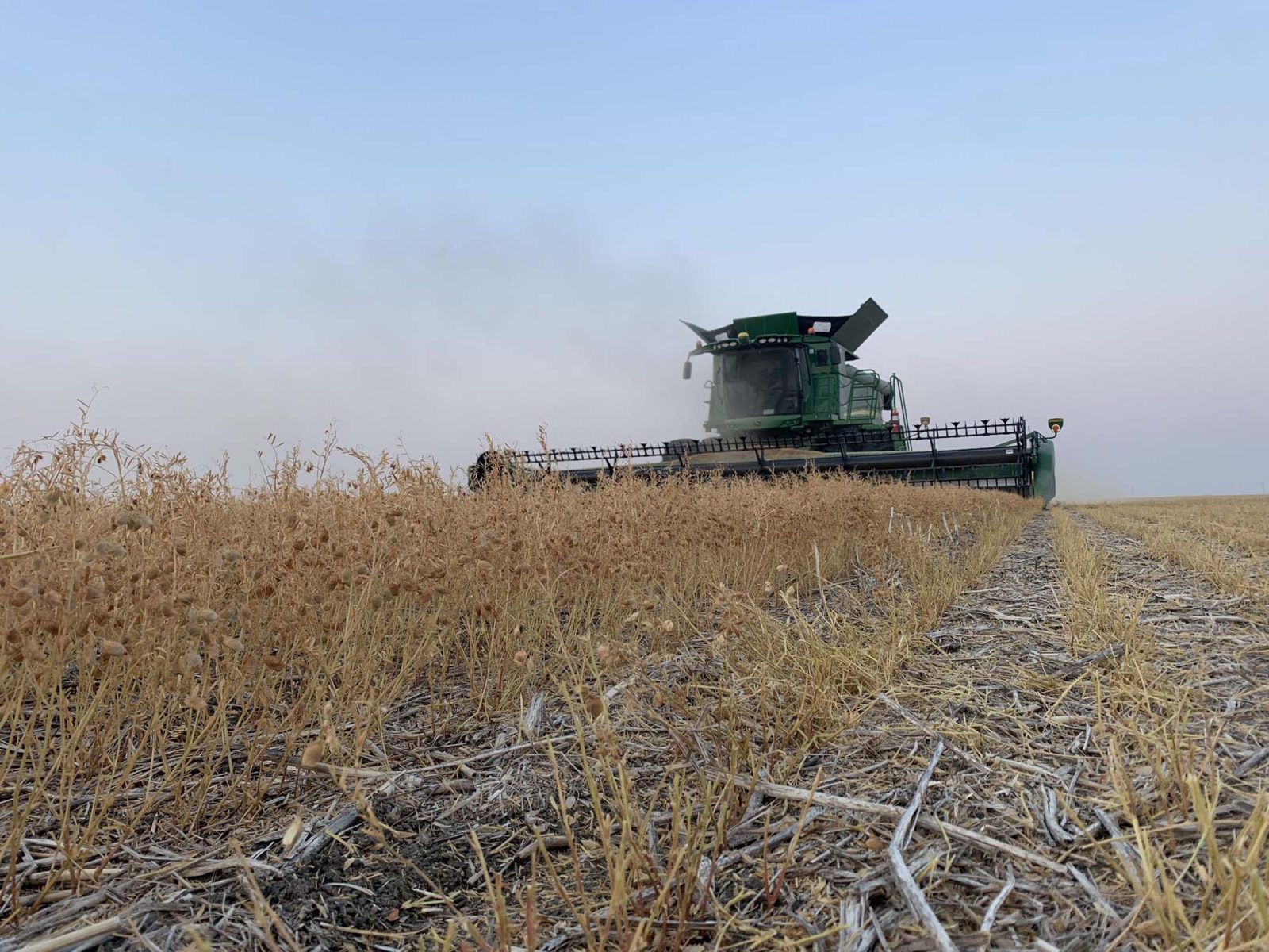 Farm Insurance - Combine Harvest Prairie - Moose Jaw Agriculture Farming Protection
